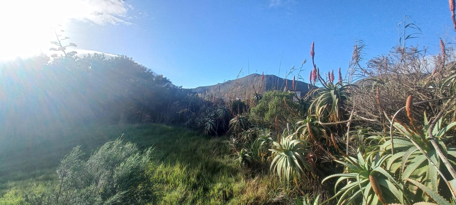 0 Bedroom Property for Sale in Pringle Bay Western Cape